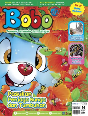 Cover of Bobo