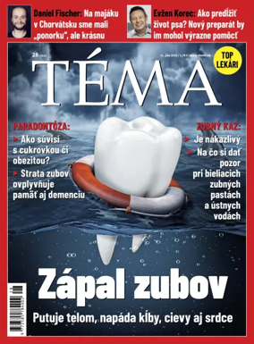Cover of Téma