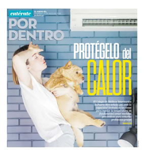 Cover of Por Dentro