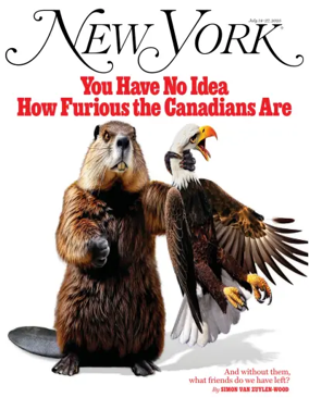 Cover of New York Magazine