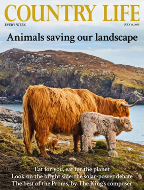 Cover of Country Life