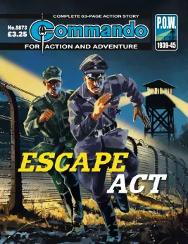 Cover of Commando