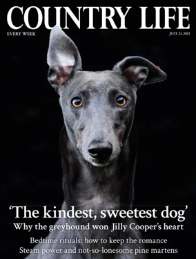 Cover of Country Life