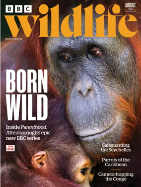 Cover of BBC Wildlife Magazine