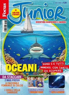 Cover of Focus Junior