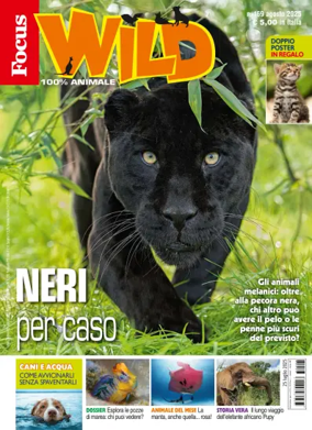 Cover of Focus Wild