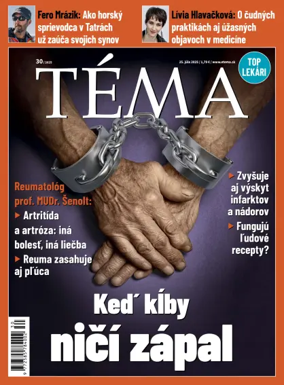 Cover of Téma