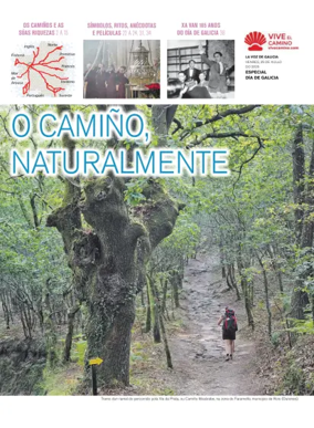 Cover of La Voz de Galicia (Viveiro) - La Voz de Galicia (OneOff ALL)