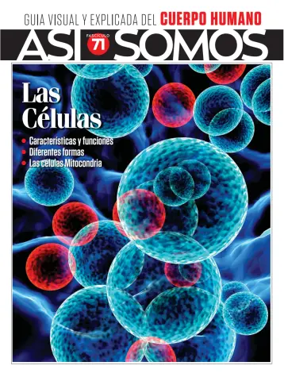 Cover of Asi Somos