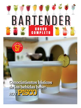 Cover of Bartender
