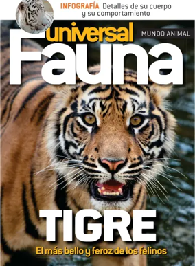 Cover of Fauna universal
