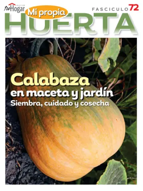 Cover of Huerta en casa