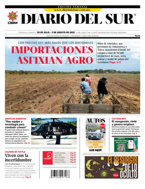 Cover of Diario del Sur