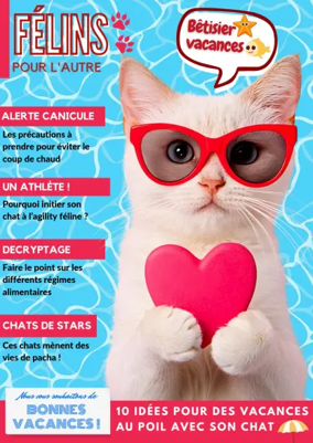 Cover of Félins pour l'autre