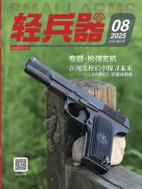 Cover of Small Arms