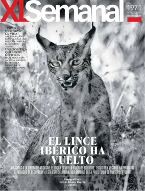 Cover of XL Semanal