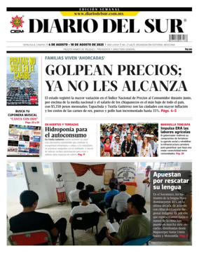 Cover of Diario del Sur