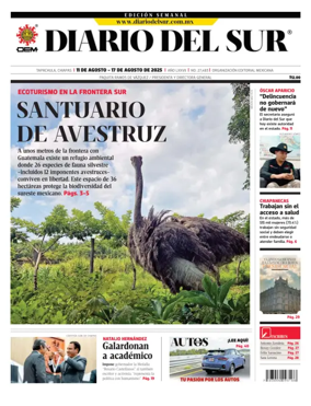 Cover of Diario del Sur