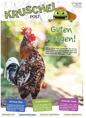 Cover of Kruschelpost