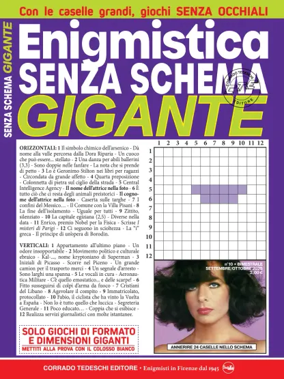 Cover of Enigmistica Senza Schema