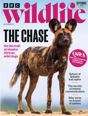 Cover of BBC Wildlife Magazine