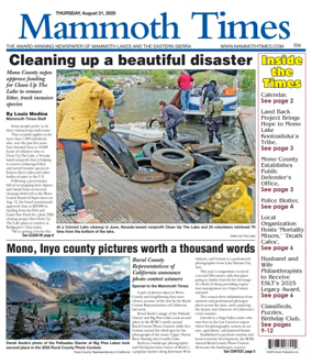 Cover of Mammoth Times