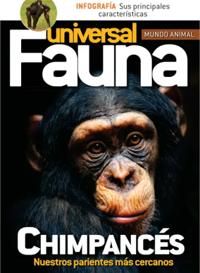 Cover of Fauna universal