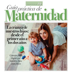Cover of Guia Practica de Maternidad
