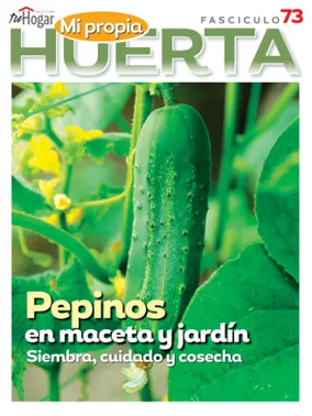 Cover of Huerta en casa