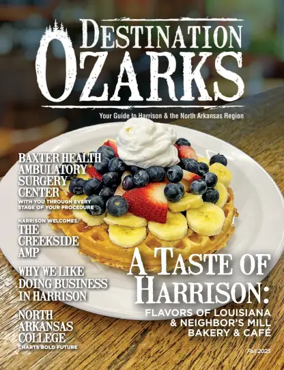 Cover of Destination Ozarks