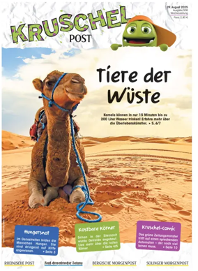 Cover of Kruschelpost