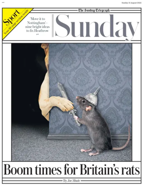 Cover of Sunday 