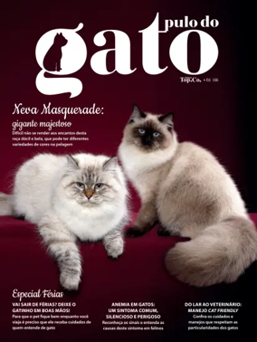 Cover of Pulo do gato