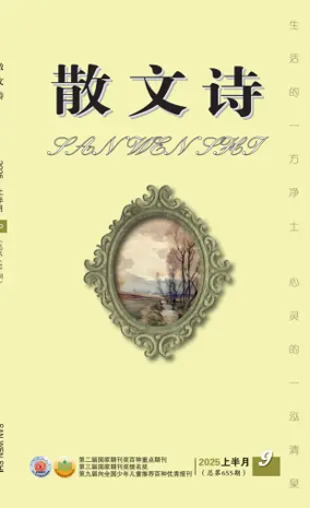 Cover of San Wen Shi