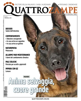 Cover of Quattro Zampe