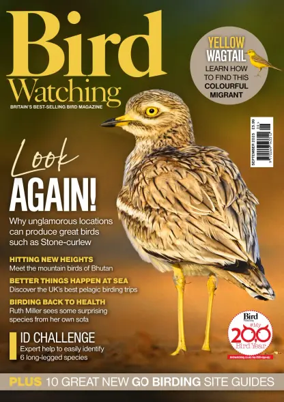 Cover of Bird Watching (UK)