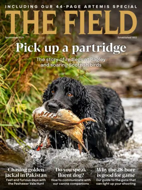 Cover of The Field