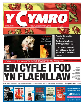 Cover of Y Cymro