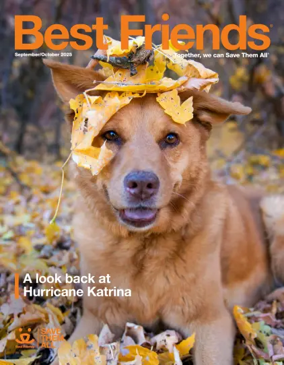 Cover of Best Friends