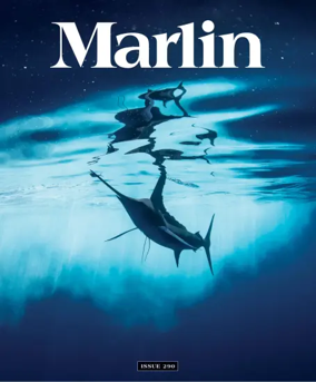 Cover of Marlin