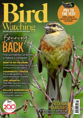 Cover of Bird Watching (UK)