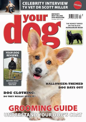 Cover of Your Dog