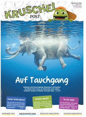 Cover of Kruschelpost