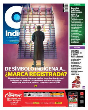 Cover of Reporte Indigo Nacional