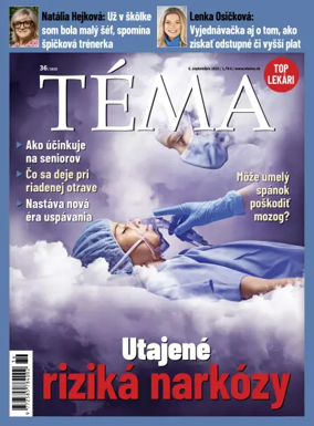 Cover of Téma