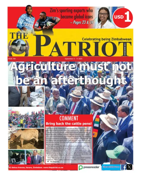 Cover of The Patriot