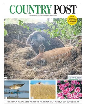 Cover of Country Week