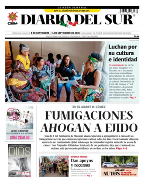 Cover of Diario del Sur