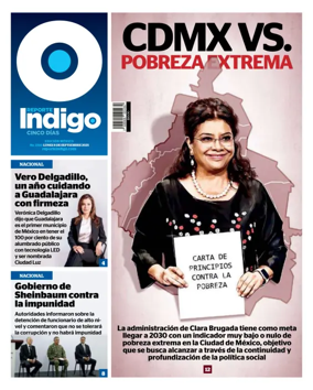 Cover of Reporte Indigo Nacional