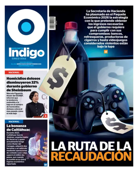 Cover of Reporte Indigo Nacional